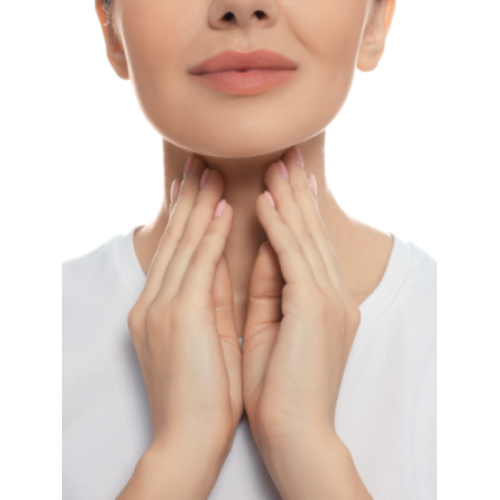 Videoaufzeichnung Online-Fachseminar II - Schilddrüse 2025 - Markt-Apotheke Greiff